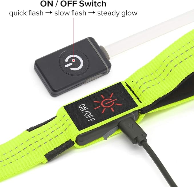 Candofly Glowing LED Dog Leash, Rechargeable Pet Leash with Lights, 4 Ft Light Up Dog Leash for Night Walking Keep Your Pets Visible (Neon Green)