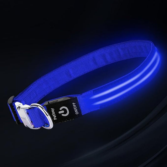 LED Dog Collar with Metal Buckle - USB Rechargeable Glow Collar for Dogs, Waterproof Light Up Dog Collar w/Reflective Strips - Adjustable Night Safety Collars by PetIsay(Blue,Medium)