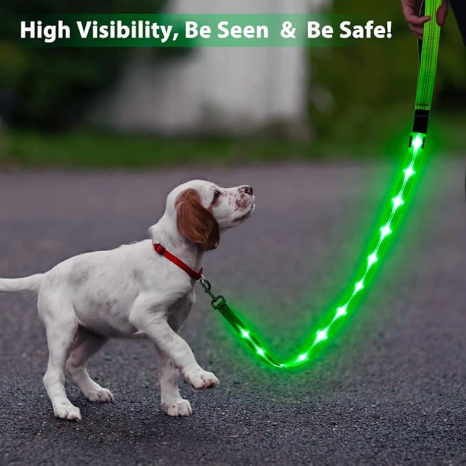 Candofly Light Up Dog Leash, Reachargeable Pet Leash with Light, 4 Ft Glowing Dog Rope Lead for Night Walking (Green)