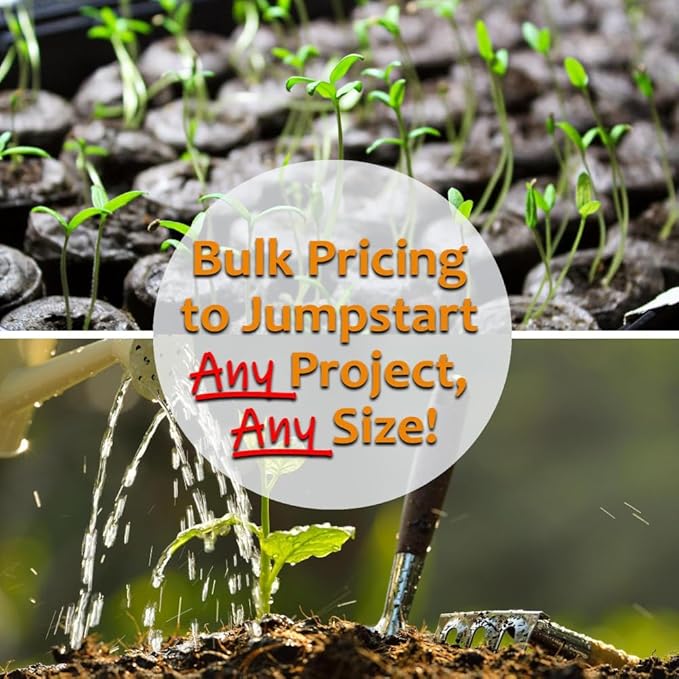 Mung Bean Sprouting Seed: 5 Lb - Organic, Non-GMO - Handy Pantry Brand - Dried Mung Beans for Sprouts, Garden Planting, Chinese & Asian Cooking, Soup & More