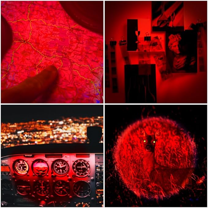 4 Pack Red LED Flashlight Single Mode Red Light Flashlight One Mode Zoomable Night Light Torch for Astronomy Aviation and Night Observation