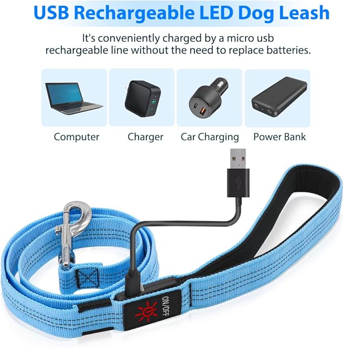 Candofly Light Up Dog Leash - 4 Ft Glowing Pet Leash Reachargeable - Nylon LED Dog Leash for Night Walking (Sky Blue)