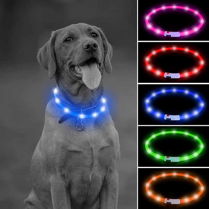 Illumifun LED Dog Necklace Light, USB Rechargeable Light Up Dog Collar, Flash LED Dog Collar for Your Dogs Camping (Blue-Silicone)