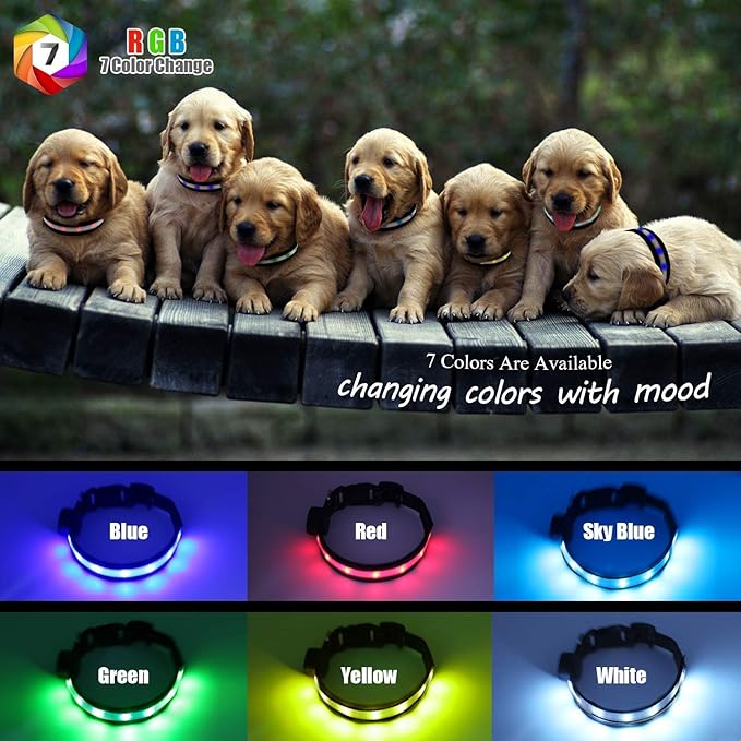 Light Up Dog Collars,Safety LED Dog Collars USB Rechargeable 7 Changing Colors Glow in The Dark Dog Walking Light,Neon Adjustable Safety Buckle Lighted Dog Collar for Small/Medium/Large Dogs, S Size
