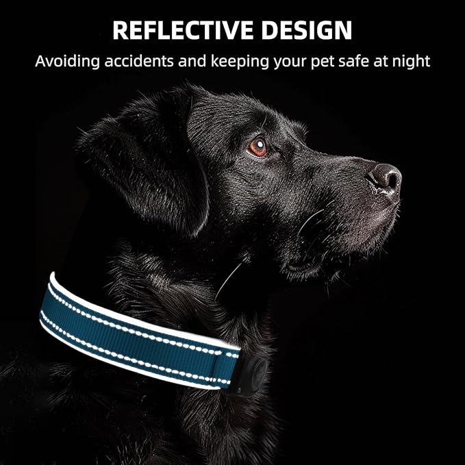 Airtag Dog Collar - 100% Waterproof AirTag Holder, Reflective, Soft Padded, Everlasting GPS Collar for Small to Large Dogs (Blue, M)