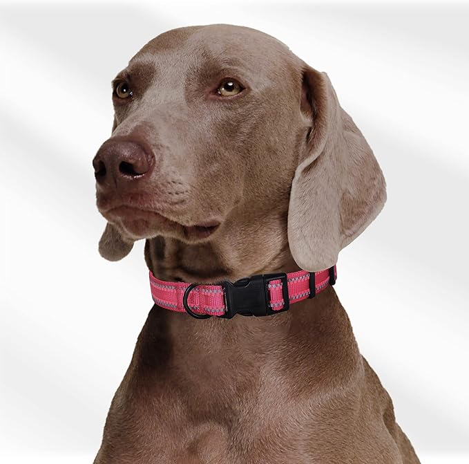 Mile High Life Reflective Dog Collar, Basic Dog Collars Adjustable Quick Release, Soft Nylon Pet Collar with Metal D-Ring for Small Medium Large Dogs (Pink, M Neck13-17")