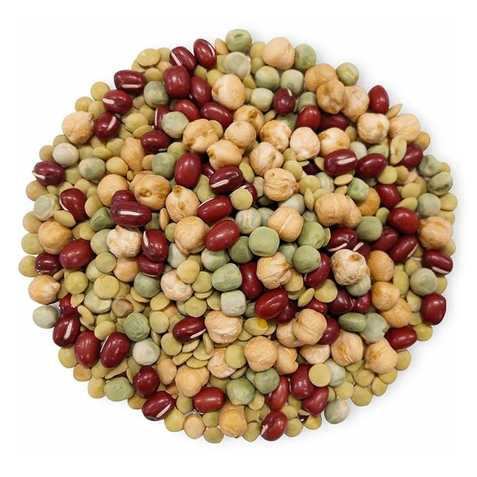 Food to Live Organic Crunchy Mix of Sprouting Beans, 3 Pounds - Non-GMO, Kosher, Non-Irradiated, Vegan, Raw, Dried, Bulk - Organic Green Peas, Adzuki, Lentil, Garbanzo