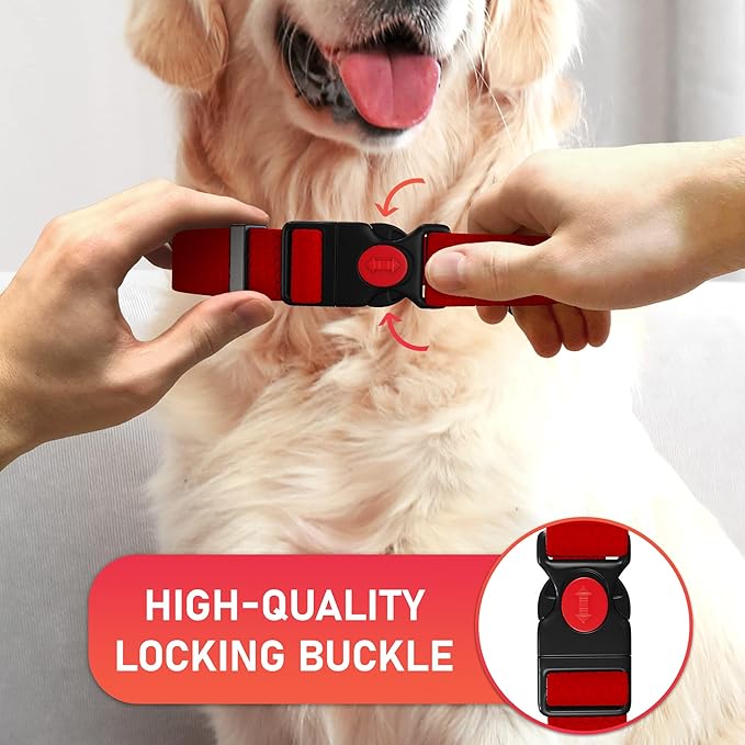 Adjustable Dog Collar with QR Code Dog Tag ID Attached - Made in USA - Honeycomb Waterproof Heavy Duty Dog Collar with Safe Lock Buckle - Odor Proof Pet Collar for Dogs with Strong Zinc D Ring