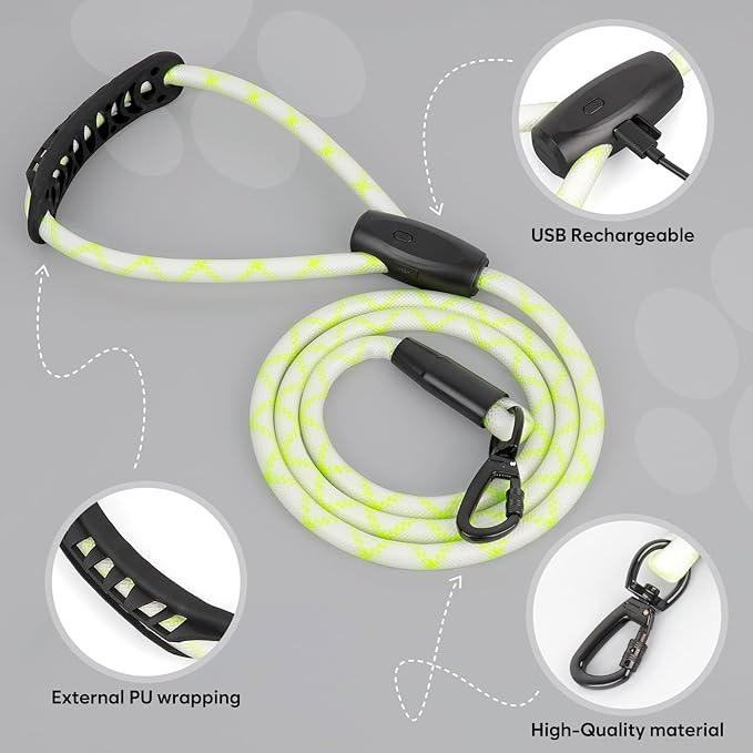 Colaseeme Light Up Dog Leash, LED Pet Leashes USB Rechargeable, Glow Safety Dogs Lights at Night (5FT,Multi-Color)