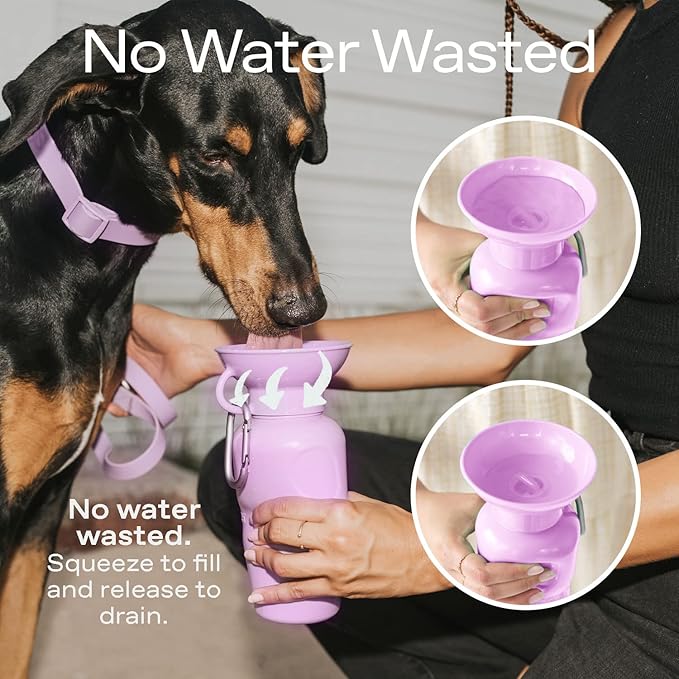 Springer Dog Water Bottle | Portable Travel Water Bottle Dispenser for Dogs | Dog Gift Seen on Oprah's Favorite Things, Shark Tank | Leak-Proof Bottles Fill Bowl with Water | BPA-Free 22oz Gray