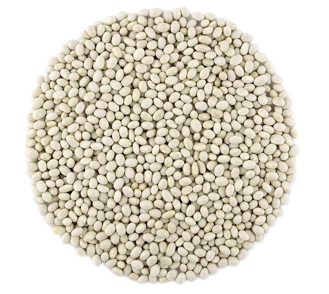 Primal Harvest Organic Navy Beans Raw non GMO Vegan Bulk - 18LB