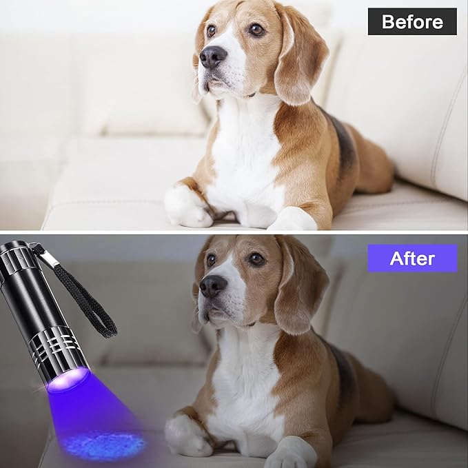 Riakrum 12 Pieces UV Blacklight Flashlights LED Handheld Mini Light Flashlight Small Portable Detector 395nm 9 LED Light for Pet, Carpet Dry Stains Detection, Spot Scorpions, Resin Curing(Black)