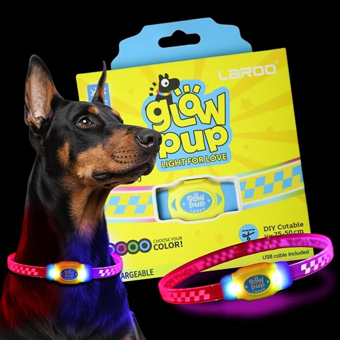 LaRoo LED Light Up Dog Collar, Multi-Color Glowing Safety Pet Collar, Rechargeable Night Visibility Collar, Pet Safety Collar Makes Your Beloved Dogs Be Seen at Night for Small Medium Dogs(Blue)