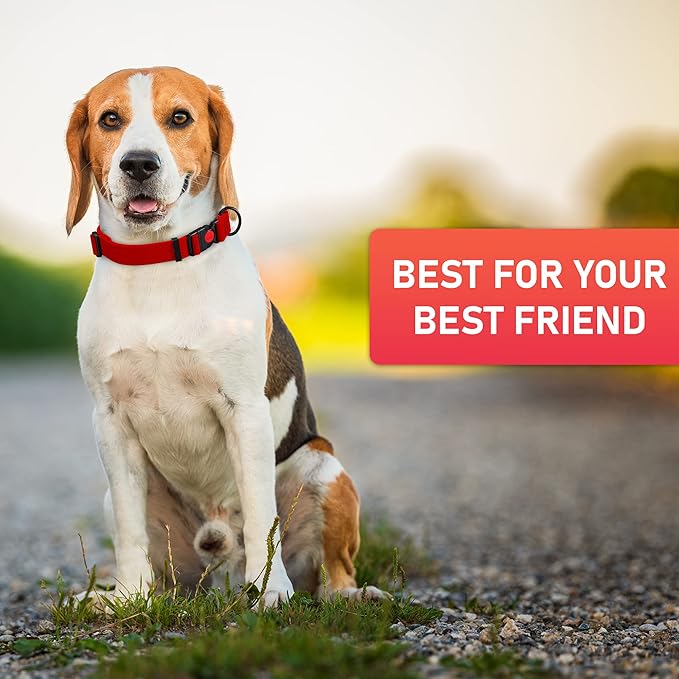 Adjustable Dog Collar with QR Code Dog Tag ID Attached - Made in USA - Honeycomb Waterproof Heavy Duty Dog Collar with Safe Lock Buckle - Odor Proof Pet Collar for Dogs with Strong Zinc D Ring