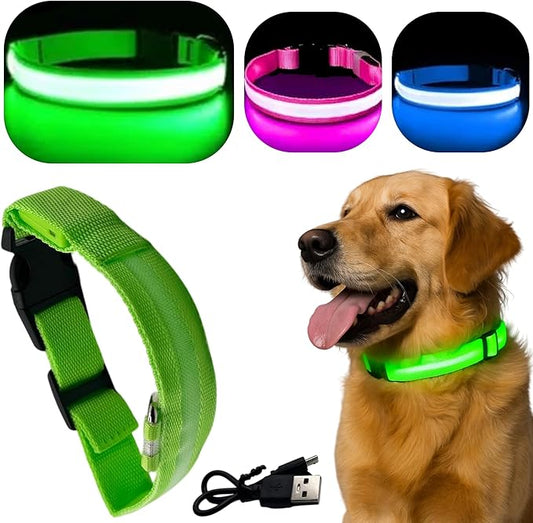 Light Up Dog Collar – Reflective, Adjustable, Rechargeable Electronic Glow Pet Collars – Bright, Comfortable, High Visibility LED Dog Collar for Night Safety, Outdoor Walk, Flashing Fun, Green, Medium