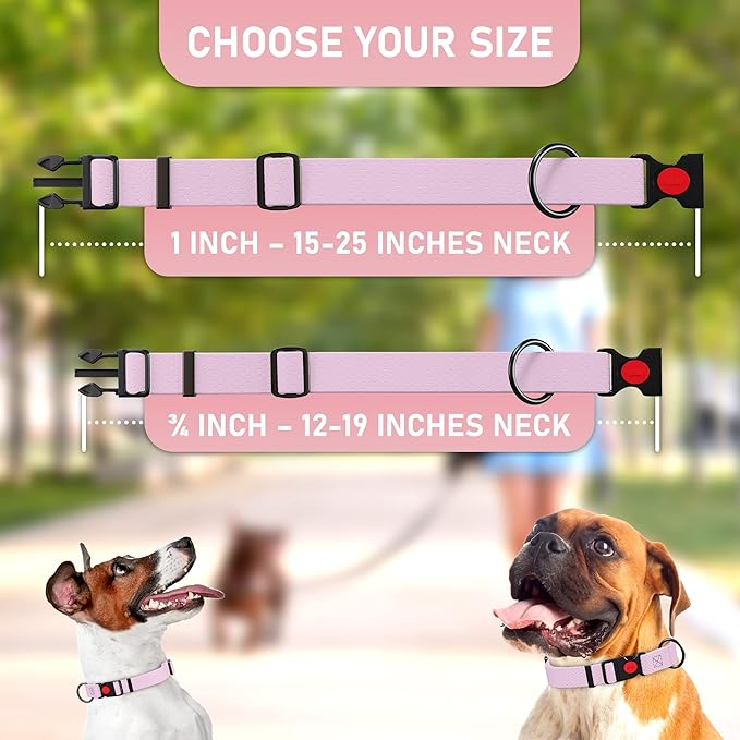Adjustable Dog Collar with QR Code Dog Tag ID Attached - Made in USA - Honeycomb Waterproof Heavy Duty Dog Collar with Safe Lock Buckle - Odor Proof Pet Collar for Dogs with Strong Zinc D Ring