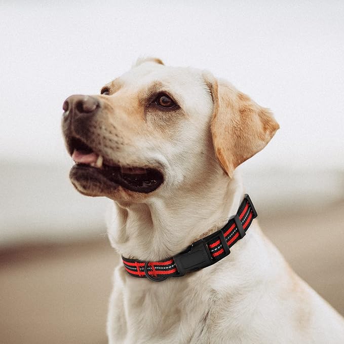 Mile High Life Reflective Dog Collar | Nylon Pet Collars wiith Buckle | Light Weight Puppy Collars | Red Dog Collars for Medium Dogs (Red, M)