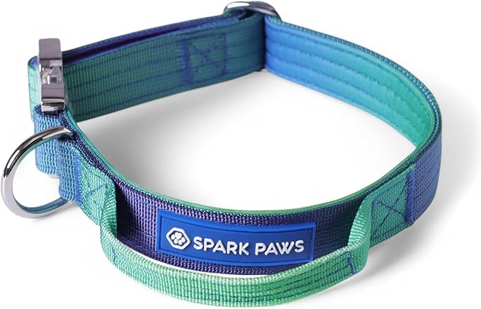 Spark Paws Tactical Dog Collar - Heavy Duty, Premium Quality, Thick and Durable for Large and Medium Dogs - Lime Wave - XS - 1"