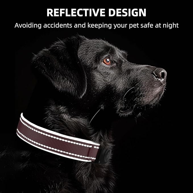 Airtag Dog Collar - 100% Waterproof AirTag Holder, Reflective, Soft Padded, Everlasting GPS Collar for Small to Large Dogs (Pink, L)