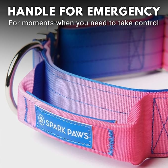Tactical Dog Collar with Handle - Premium Quality Collar, Robust and Durable Design for Large, Strong Breeds - Pitbulls, Labradors, GSD - Snow Cone - L
