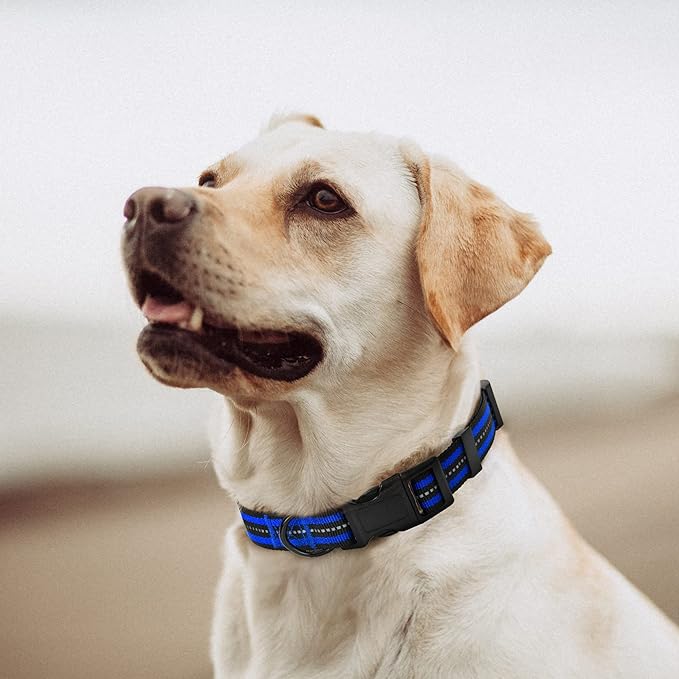 Mile High Life Reflective Dog Collar | Nylon Pet Collars wiith Buckle | Light Weight Puppy Collars | Blue Dog Collars for Small Dogs (Blue, X-S)