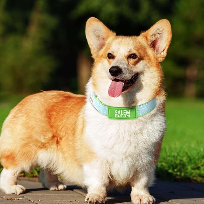 Personalized Dog Collars for Small & Large Dogs with Custom Name and Phone Numbers, Glow in The Dark Adjustable Glowing Luminous Collar(Fluorescent Glow)