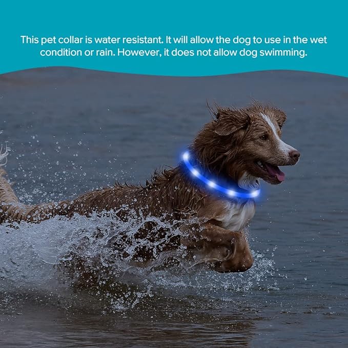 Illumifun LED Dog Necklace Light, USB Rechargeable Light Up Dog Collar, Flash LED Dog Collar for Your Dogs Camping (Blue-Silicone)