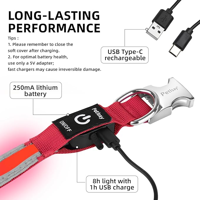 PetIsay LED Dog Collar Metal Buckle - Heavy Duty Light up Collars - Rechargeable IP68 Waterproof - Lighted Dog Collar for Night Walking, Hiking, Camping (Large, Red)