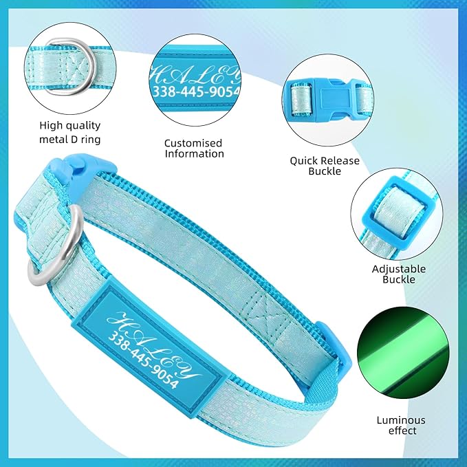 Personalized Dog Collars for Small & Large Dogs with Custom Name and Phone Numbers, Glow in The Dark Adjustable Glowing Luminous Collar(Fluorescent Glow)