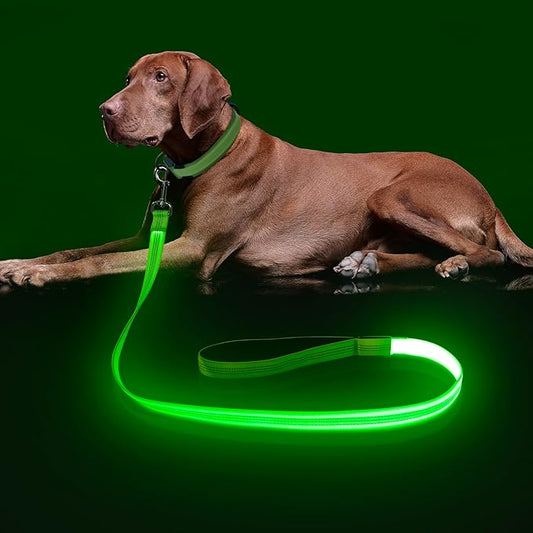 Colaseeme Light Up Dog Leash, LED Pet Leashes USB Rechargeable, Glow Safety Dogs Lights at Night (4FT,Green-New)