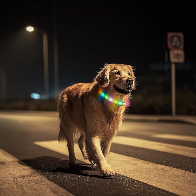 LED Dog Collar, Light Up Dog Collar, USB Rechargeable - Brightest Dog Lights for Night Walking, 6 Light Modes, Adjustable for Dog Safety(Large, Neon Green)