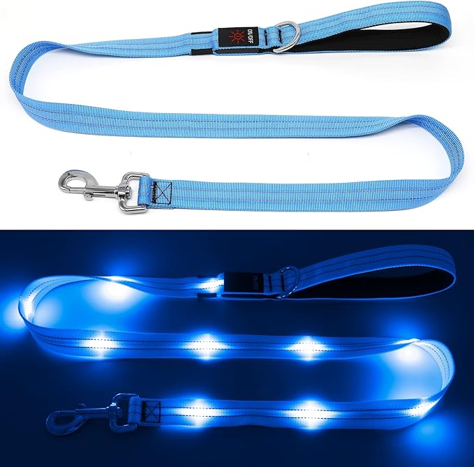 4 Ft LED Dog Leash, Rechargeable Light Up, Waterproof, Glow In The Dark, Nylon Reflective With Padded Handle For Small, Medium, Large Pets