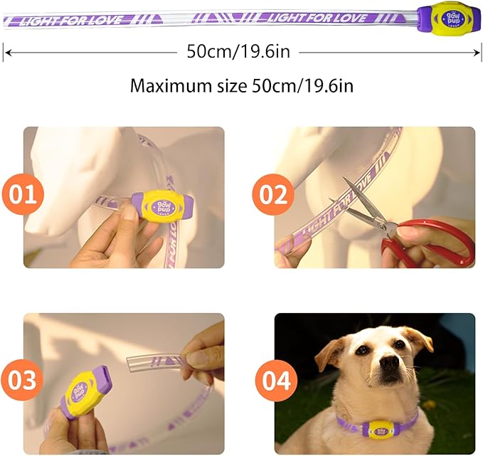 LaRoo LED Light Up Dog Collar, Multi-Color Glowing Safety Pet Collar, USB Rechargeable, Adjustable, Night Walk High Visibility Collar Safety Dog Light for Small Medium Dogs(Purple)