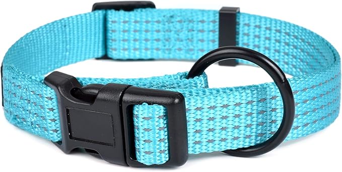 Mile High Life Dog Collar, Nylon Reflective Dog Collars w Pull D-Ring, Light Weight Puppy Collars, Hanger Dog Collars for Large Dogs(Green, X-Small)