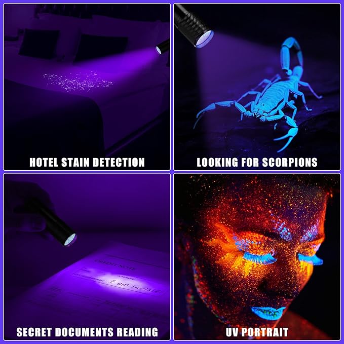 Hortsun Blacklight Flashlights Small UV Lights 395nm LED Portable Ultraviolet Light Detector Mini Flashlight Torch for Halloween Ghost Haunted House Dog Cat Pets Urine Stains Bed Bugs(20 Pcs)