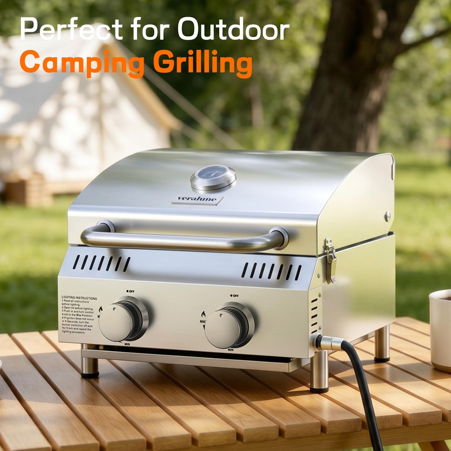 Veralune 2-Burner Tabletop Gas Grill, 22000 BTU Stainless Steel Grill