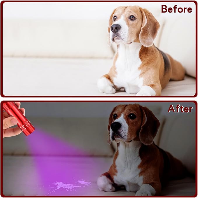 Riakrum 12 Pieces UV Blacklight Flashlights LED Handheld Mini Light Flashlight Small Portable Detector 395nm 9 LED Light for Pet, Carpet Dry Stains Detection, Spot Scorpions, Resin Curing(Red)