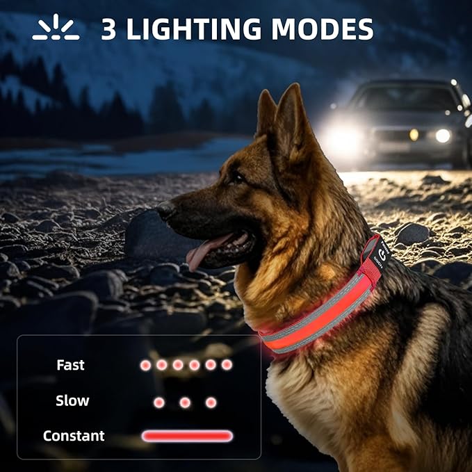 PetIsay LED Dog Collar Metal Buckle - Heavy Duty Light up Collars - Rechargeable IP68 Waterproof - Lighted Dog Collar for Night Walking, Hiking, Camping (Medium, Red)