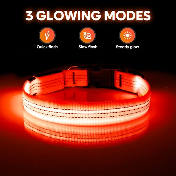 Illumifun Light Up Dog Collar USB Rechargeable LED Dog Collar, Adjustable Blinking Dog Light for Large Dogs (Orange?? Large)