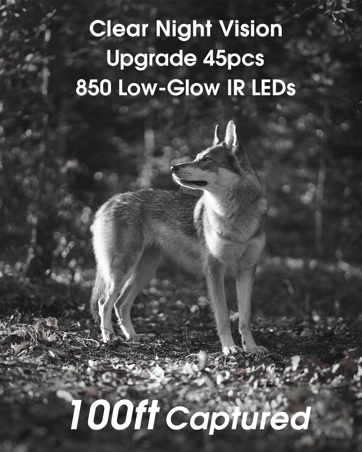 KJK Trail Camera 4K 64MP WiFi Bluetooth Game Camera, Night Vision Wildlife Hunting Camera, 0.1s