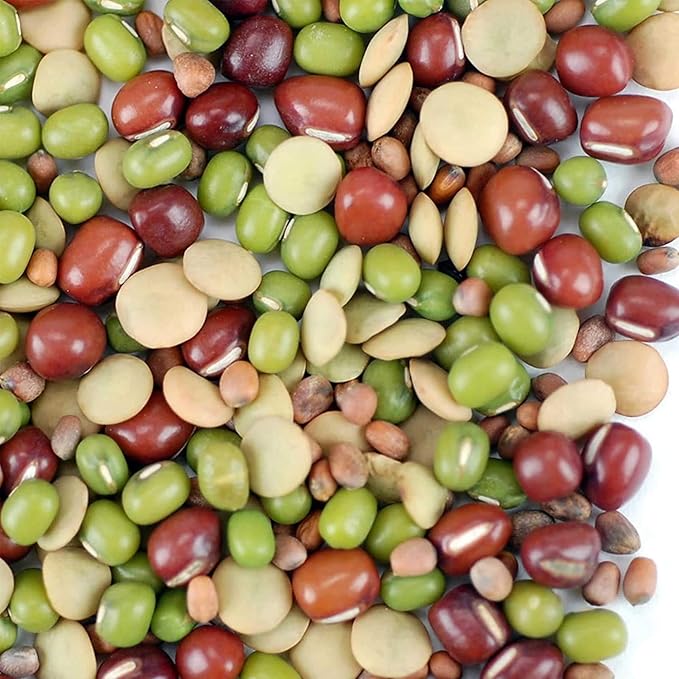Bean Salad Sprouting Seed Mix- Organic- 2.5 Lbs- Mix of Bean Sprout Seeds: Adzuki, Mung Bean, Green Lentil & Radish. For Sprouting Sprouts, Soup, Food Storage