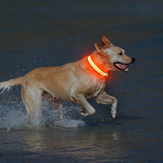 Illumifun Light Up Dog Collar USB Rechargeable LED Dog Collar, Adjustable Blinking Dog Light for Large Dogs (Orange?? Large)