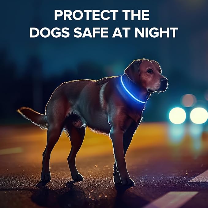 Light Up Dog Collar, Adjustable USB Rechargeable Glow in Dark Dog Collar ，Waterproof Dog Collars for Small Dogs (Blue, Small)