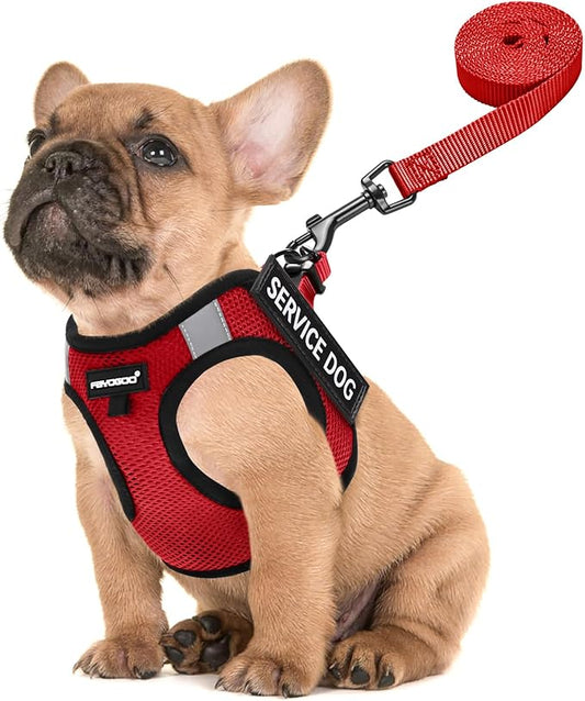 FAYOGOO Service Dog Vest for Small Dogs - Lightweight Dog Harness with 6PCS Removable Patches - Puppy Harness and Leash Set for Walking,Training