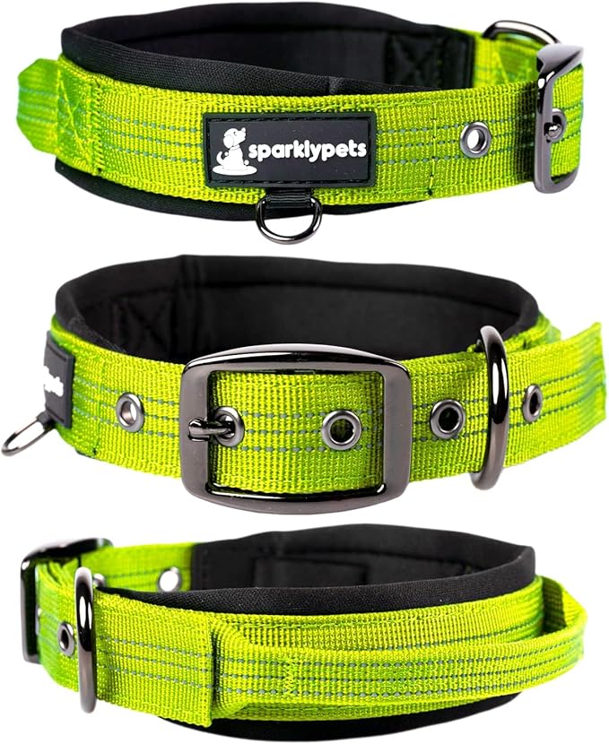 SparklyPets Heavy Duty Dog Collar with Handle for Medium and Large Dogs ??Professional Collar with Reflective Stitches, Soft Handle & Nickel-Plated Buckle (Large (18"~22"), Green)