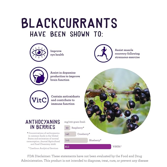 ViBERi Organic Blackcurrant Powder 450g (Loose Powder) | New Zealand Grown Superfruit | Naturally high in Vitamin C and Antioxidants | Ideal for Smoothies & Training Plans