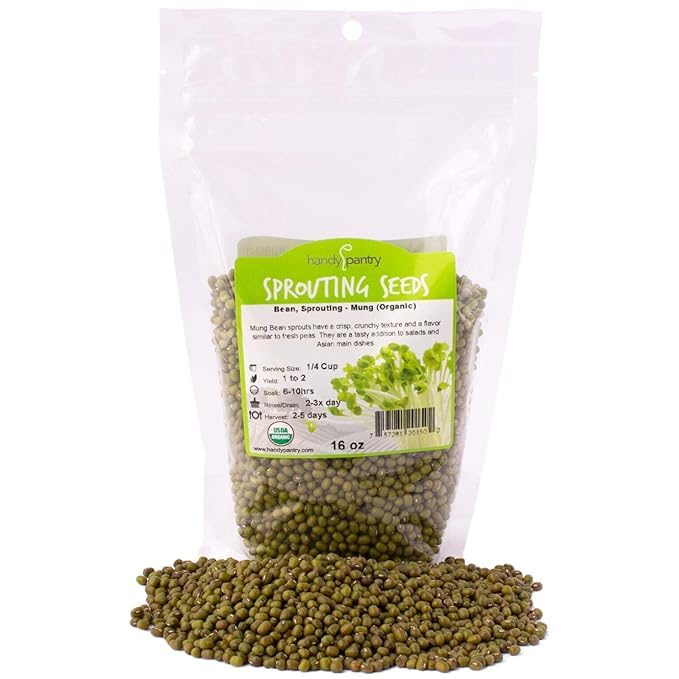 Mung Bean Sprouting Seed: 1 Lb - Organic, Non-GMO - Handy Pantry Brand - Dried Mung Beans for Sprouts, Garden Planting, Chinese & Asian Cooking, Soup & More