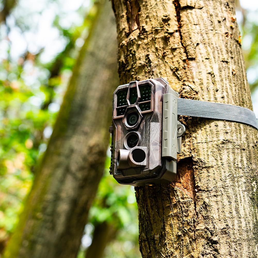 GardePro E5S Trail Camera (Non-Cellular, Non-WiFi), 64MP Photo & 1296P HD Video, 0.1s Trigger