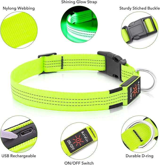 Illumifun Light Up Dog Collar, USB Rechargeable LED Dog Collar, Reflective Flash Pet Lighted Collar for Nighttime Walking (Green?? Large)