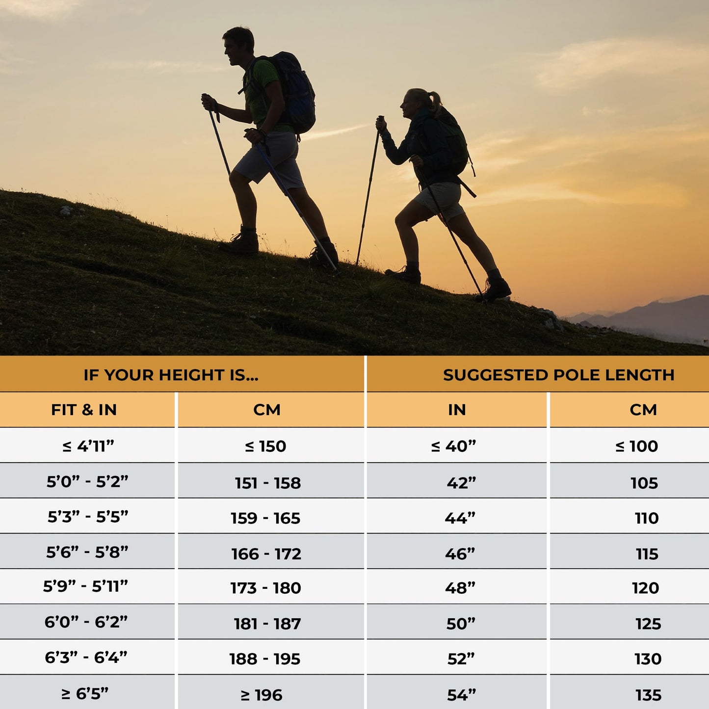 Foxelli Carbon Fiber Trekking Poles – Lightweight Collapsible Hiking Poles with Cork Grips, Quick